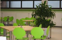cafeteria_chairs_mc_donalds.jpg